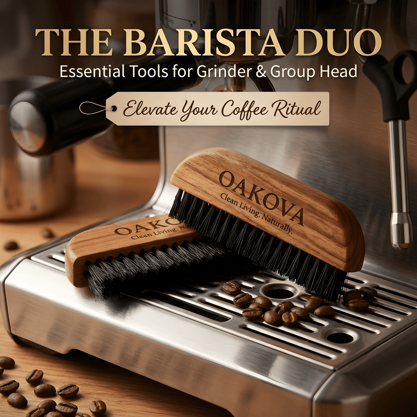 Oakova Barista Coffee Cleaning Brush Set (2 - Pack) - Natural Wood Handle - Oakova