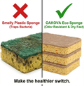 Oakova Dual - Sided Eco Dish Sponges (12 - Pack) - Sisal Scrub & Cellulose Core - Oakova