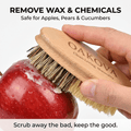 Oakova Natural Vegetable Brush Scrubber (2 - Pack) - Dual Bristles for Root Veggies & Fruit - Oakova