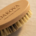 Oakova Natural Vegetable Brush Scrubber (2 - Pack) - Dual Bristles for Root Veggies & Fruit - Oakova