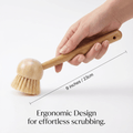 The Bamboo Dish Brush Duo (Soft & Stiff)） - Oakova