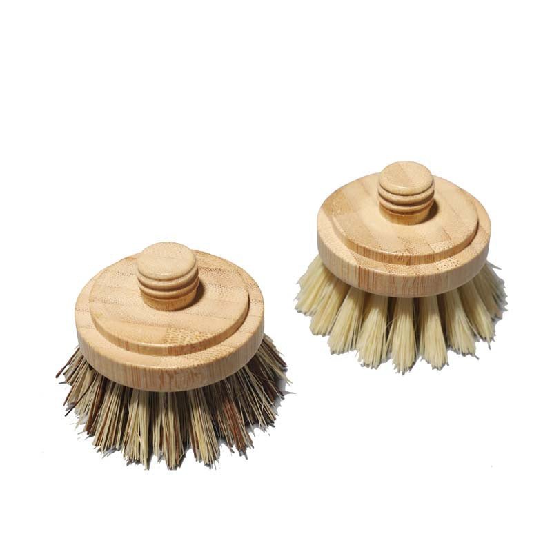 The Dual - Action Brush Refill Set (2 - Pack) - Oakova